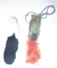 De Katse Katte staarten