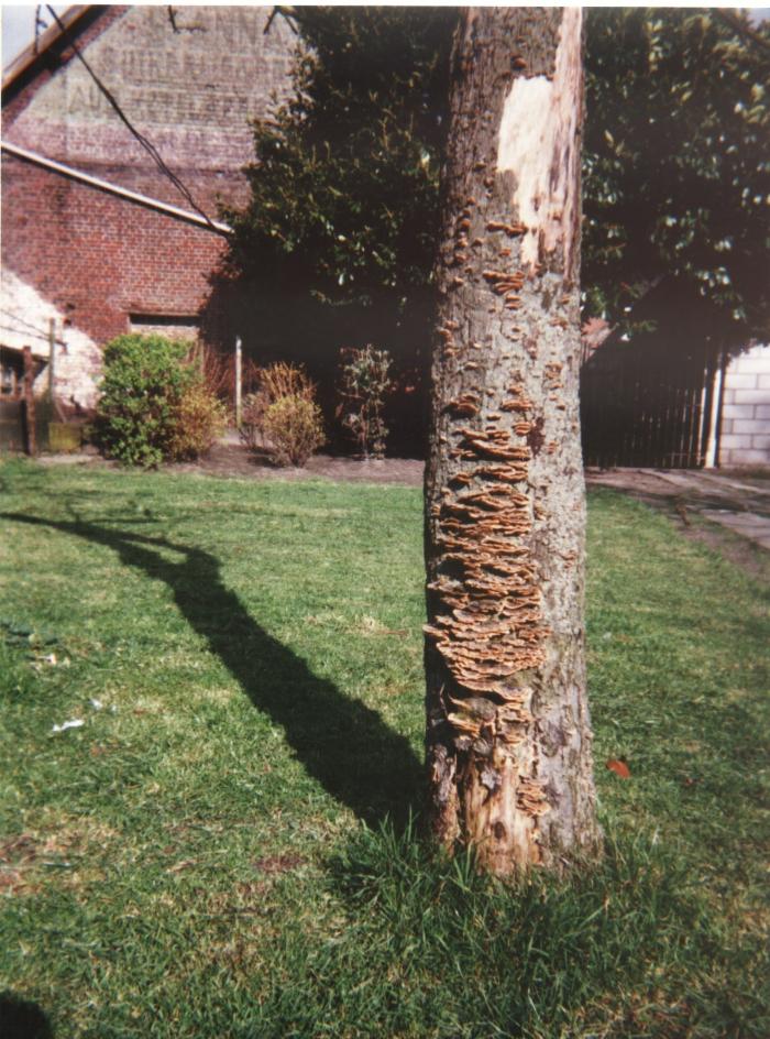 Suikerijfabriek Ketelaere, Lovendegem