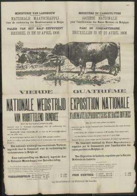 NATIONALE WEDSTRIJD van voorttelend rundvee/ EXPOSITION NATIONALE d'animaux reproducteurs de races bovines. Brussel - Bruxelles
