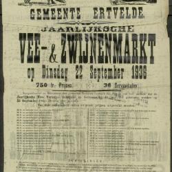 Zomerkermis Ertvelde
