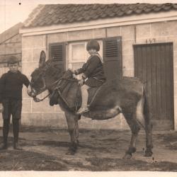 Foto van Petrus Staelens met kar en paard