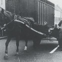 Foto van een lijkkoets getrokken door 2 paarden