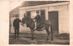 Portretfoto van twee kinderen op een ezel