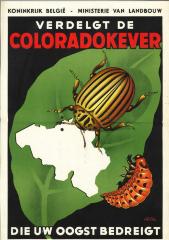 Affiche over de verdelging van de Colradokever