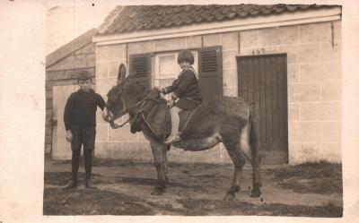 Portretfoto van twee kinderen op een ezel