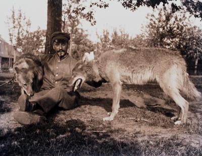 Foto van een man met twee honden