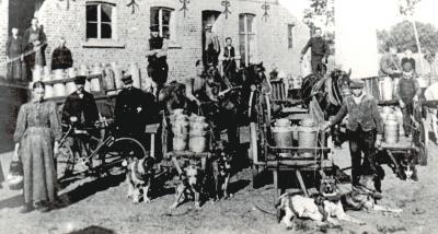 Foto van 6 melkkarren getrokken door honden en paarden