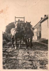 Foto van een kar getrokken door 2 paarden