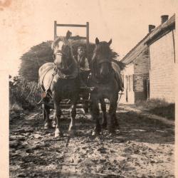 Foto van brouwer Van Bastelaere en zijn knechten