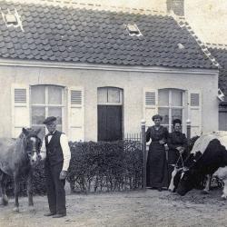 Foto van koets getrokken door twee paarden op de safarkensmarkt