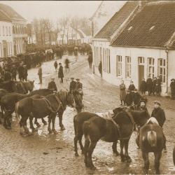 Foto van het scheren van een schaap