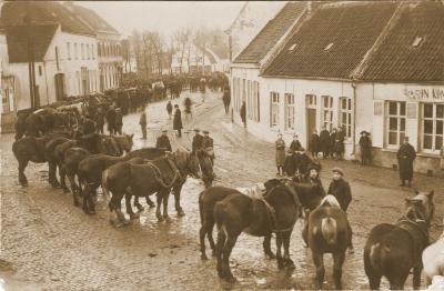 Foto van een paardenkeuring