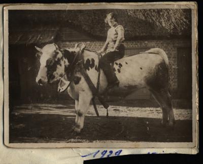 Foto van een vrouw op een koe