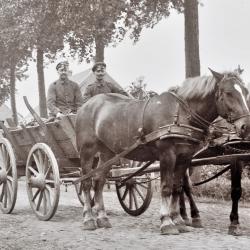 Foto van een kar getrokken door 2 paarden