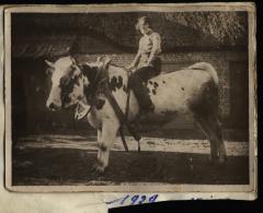 Foto van een vrouw op een koe