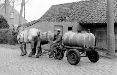 Foto van een boer met een mestkar getrokken door 2 paarden