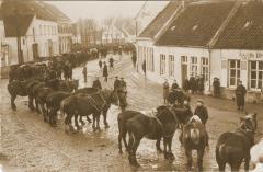 Foto van een paardenkeuring