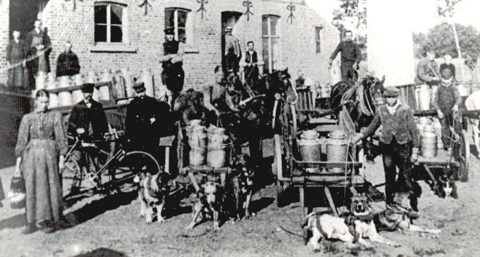 Foto van 6 melkkarren getrokken door honden en paarden