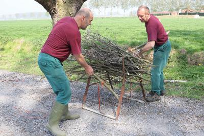 Binnen van takkenbos op Huysmanhoeve