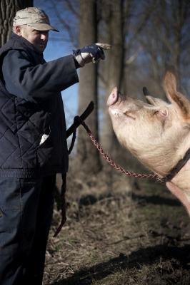 Erfgoedzorger Godfried Stockman, Oosteeklo