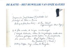 Het huwelijk van de Katjes