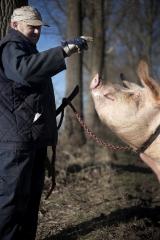 Erfgoedzorger Godfried Stockman, Oosteeklo