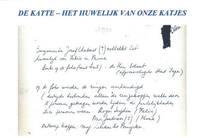 Het huwelijk van de Katjes